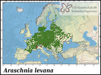Verbreitung Araschnia levana