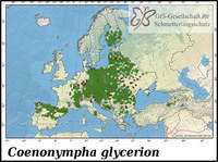 Verbreitung Coenonympha glycerion