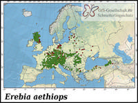 Verbreitung Erebia aethiops