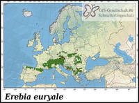Verbreitung Erebia euryale