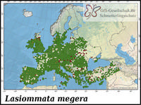 Verbreitung Lasiommata megera
