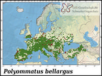 Verbreitung Polyommatus bellargus