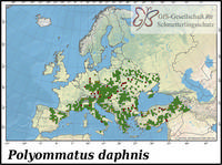Verbreitung Polyommatus daphnis